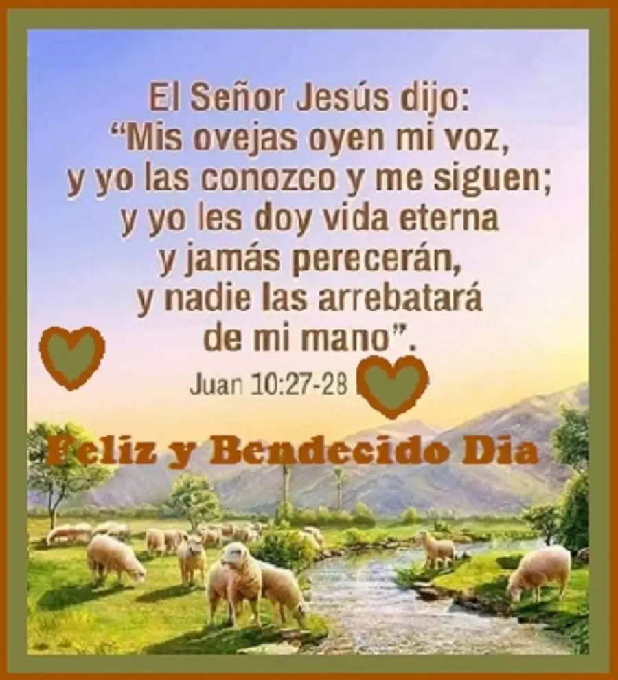Dia de Bendiciones Vida