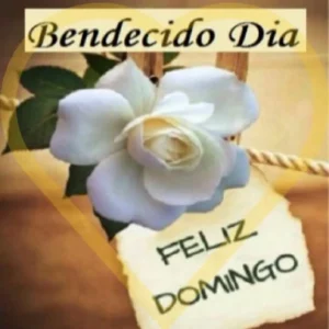 Domingo Maravilloso Bendecido