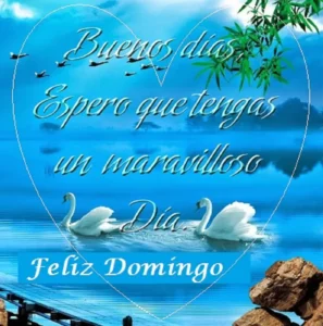 Domingo Maravilloso Feliz