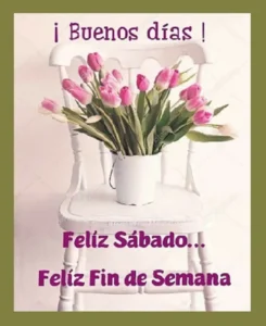 Sabado Maravilloso Fin